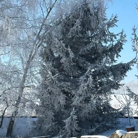 住宿加早餐酒店 