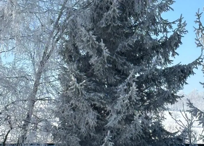 ベッド・アンド・ブレックファスト 